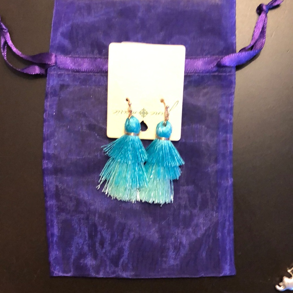 Turquoise ombré tassel earrings. Never worn.